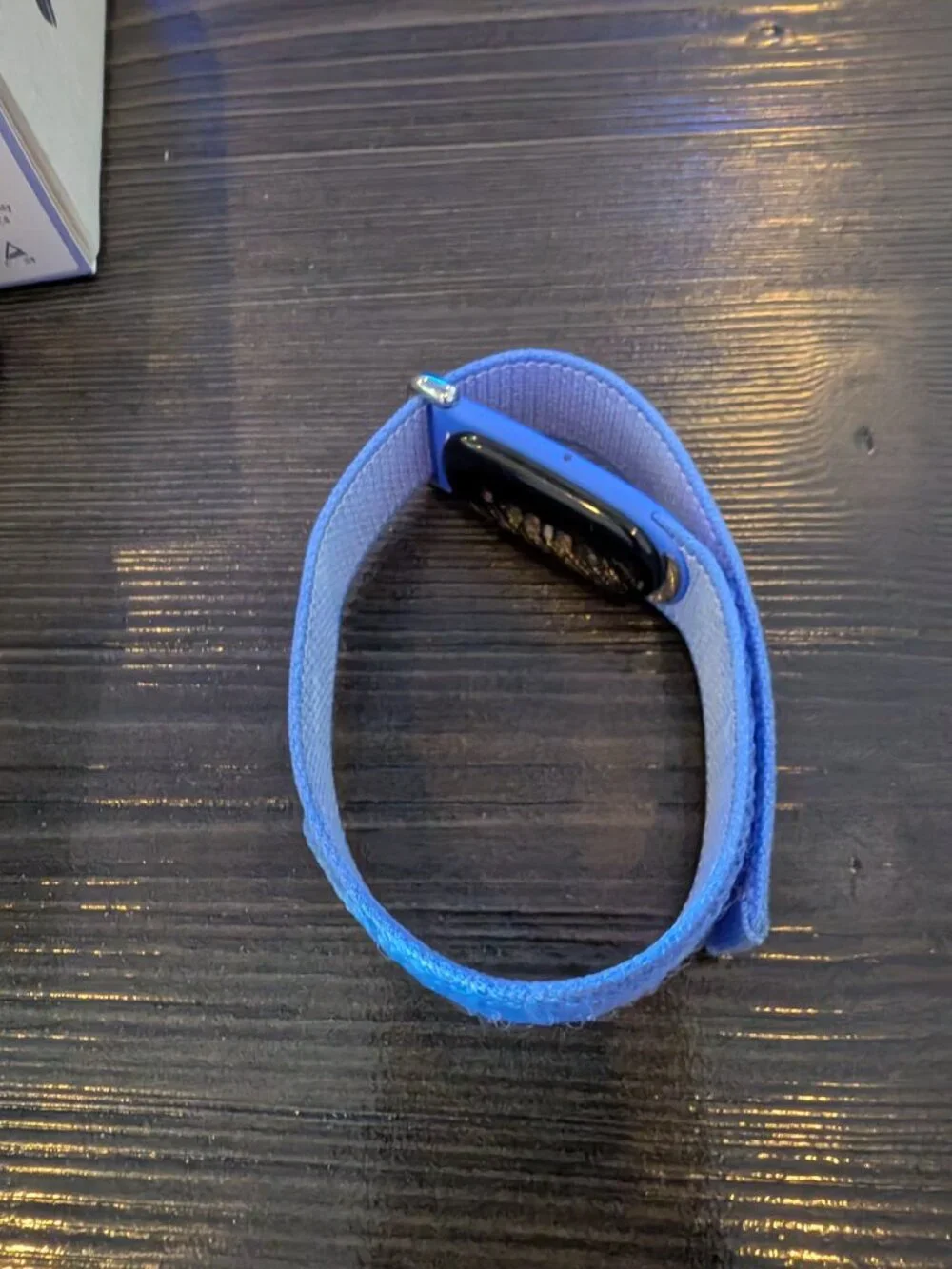 Google Fitbit Air